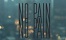 No Pain No Gain logo40